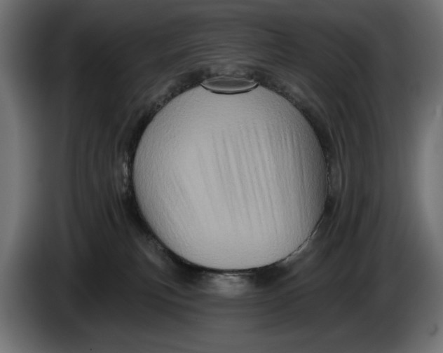 X0000086100183200704132155