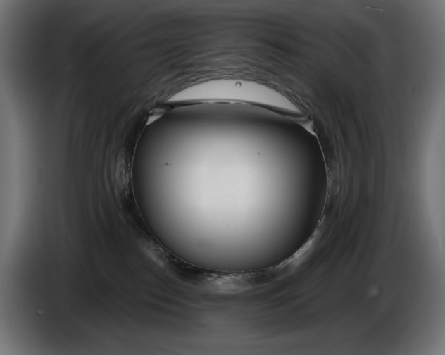 X0000086100186200704132155