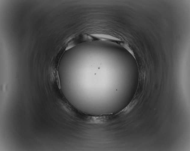 X0000086100188200704132155