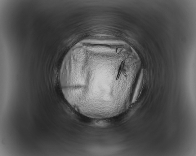 X0000086100189200704132155