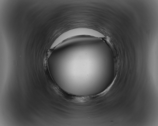 X0000086100190200704132155