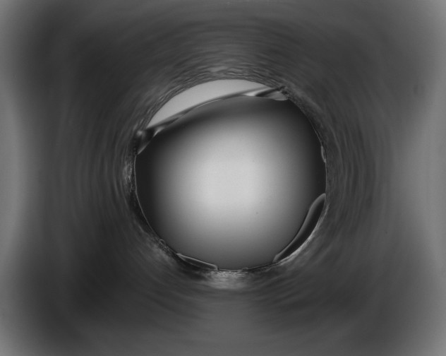 X0000086100192200704132155