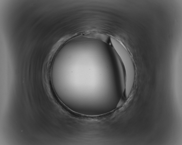 X0000086100193200704132155