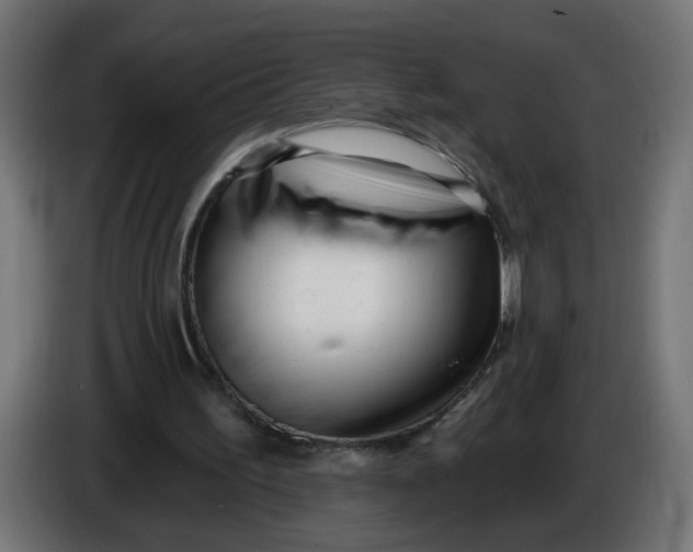 X0000086100195200704132155