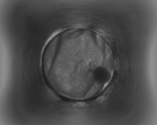 X0000086100196200704132155