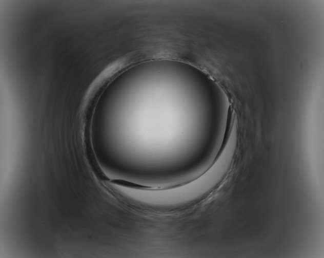 X0000086100197200704132155