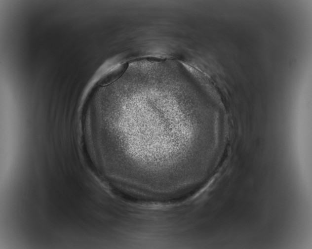 X0000086100198200704132155