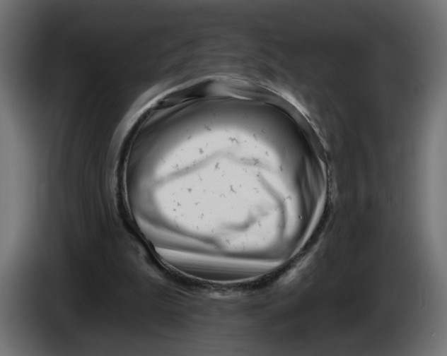 X0000086100199200704132155