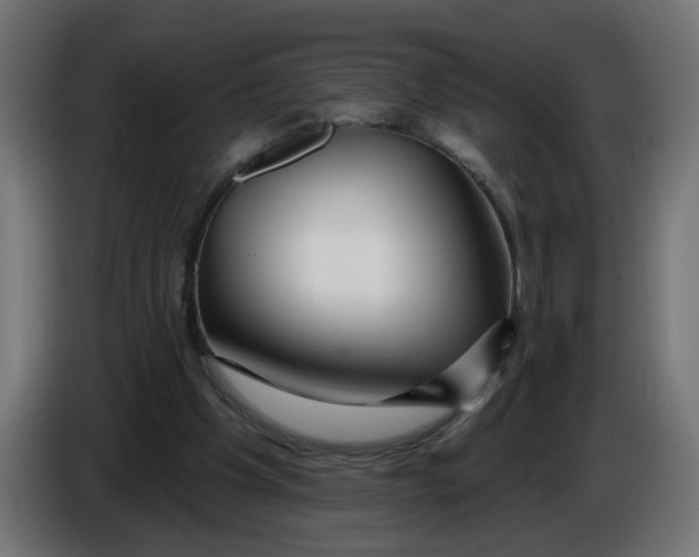 X0000086100201200704132155