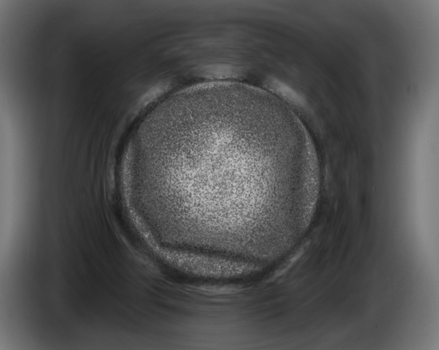 X0000086100202200704132155