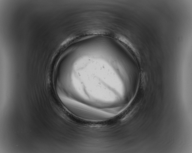 X0000086100203200704132154