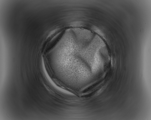 X0000086100205200704132154