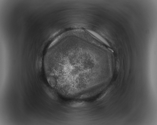 X0000086100206200704132154
