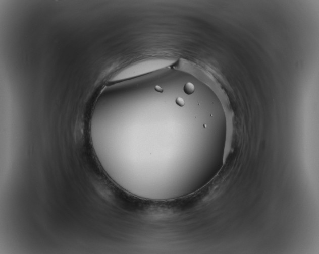 X0000086100207200704132154