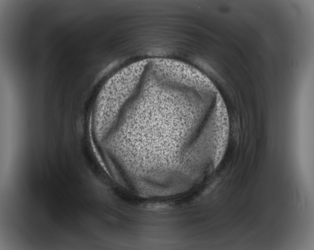 X0000086100208200704132154