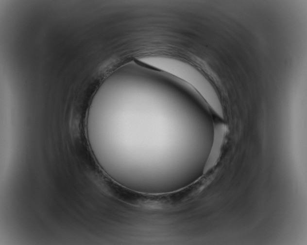 X0000086100209200704132154