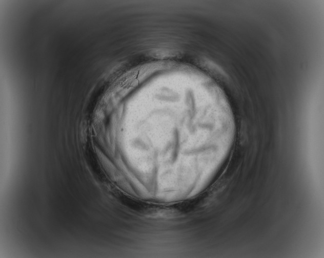 X0000086100210200704132154