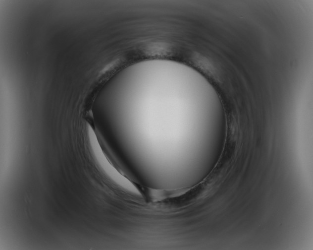 X0000086100211200704132154