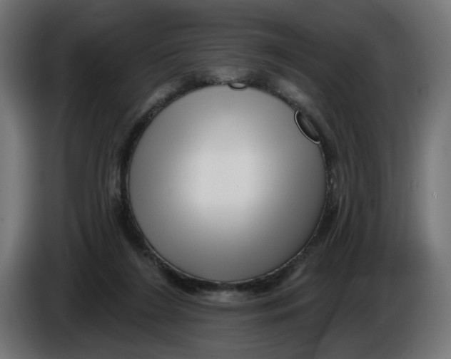 X0000086100212200704132154