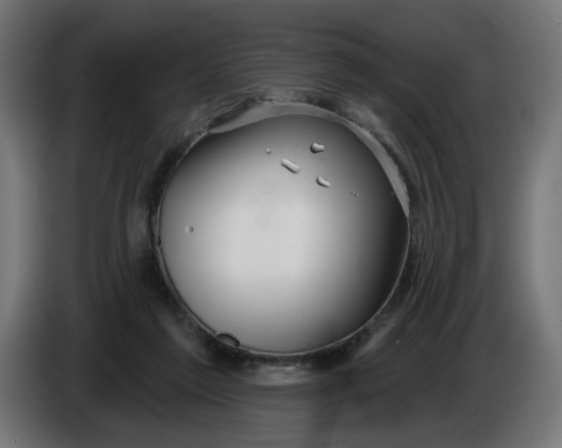 X0000086100213200704132154