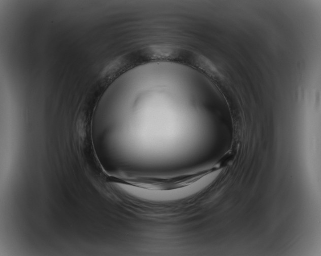 X0000086100215200704132154