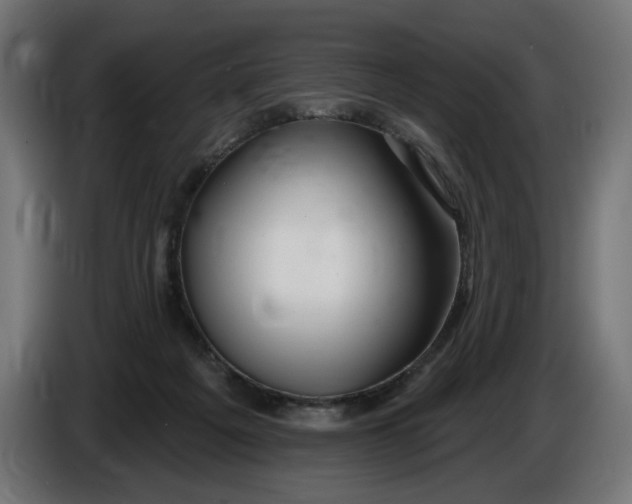 X0000086100217200704132154