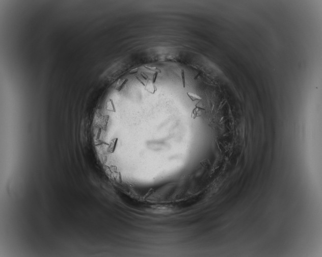 X0000086100218200704132154