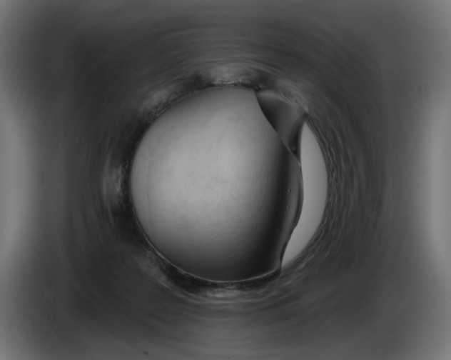 X0000086100219200704132154