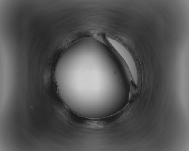 X0000086100221200704132154