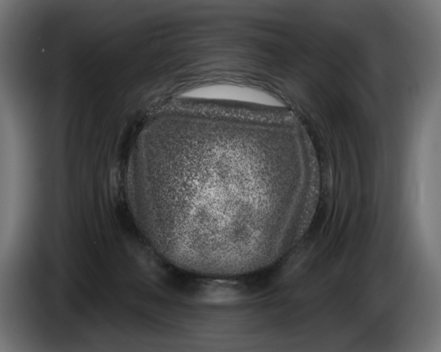 X0000086100222200704132154