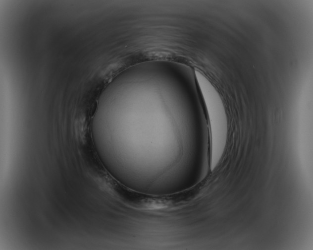 X0000086100223200704132154