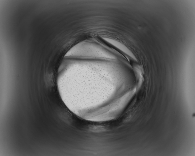 X0000086100224200704132154