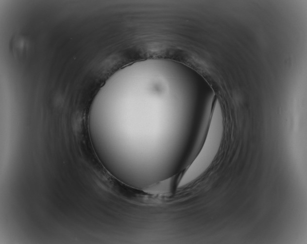 X0000086100225200704132154
