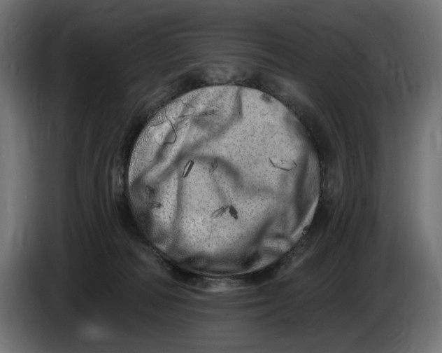 X0000086100226200704132154