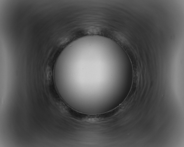 X0000086100228200704132154