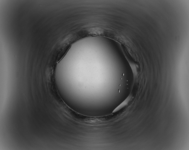 X0000086100229200704132154