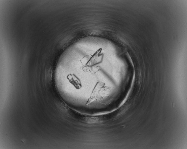 X0000086100230200704132154