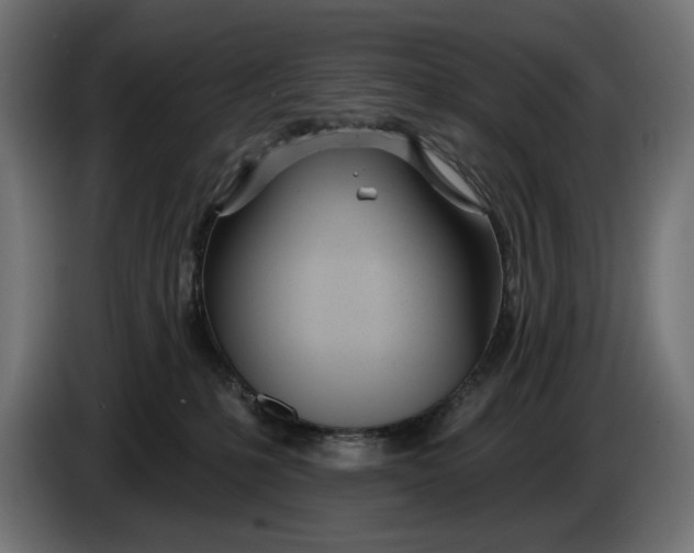 X0000086100231200704132154