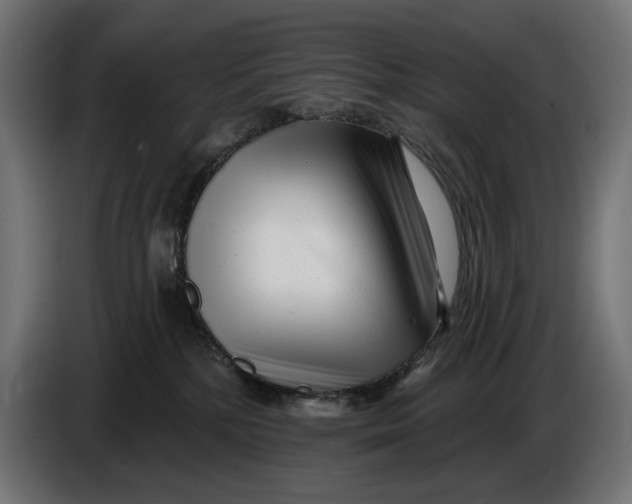 X0000086100232200704132154