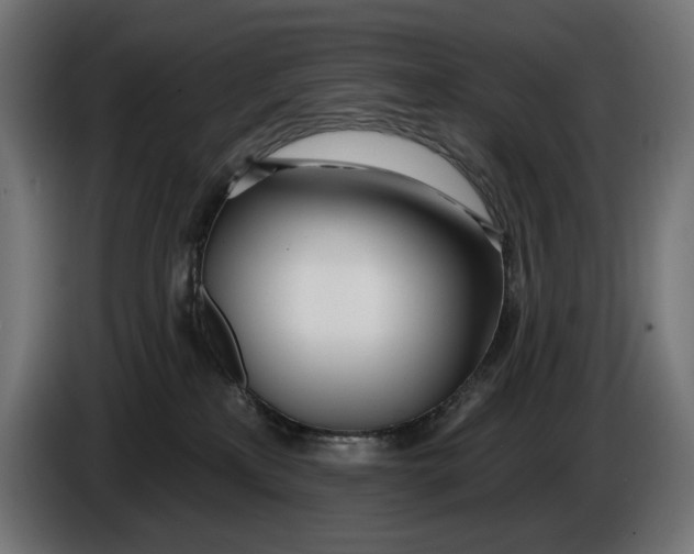 X0000086100233200704132154