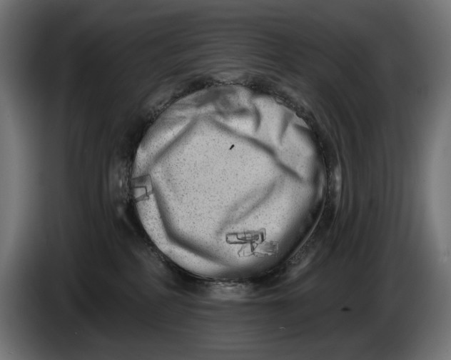 X0000086100234200704132154