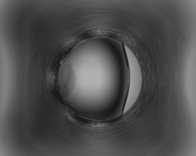 X0000086100235200704132154