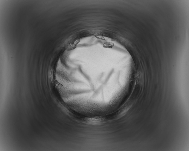 X0000086100238200704132154