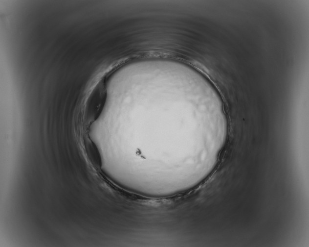 X0000086100241200704132153