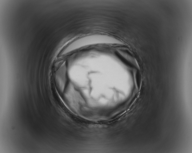 X0000086100242200704132153