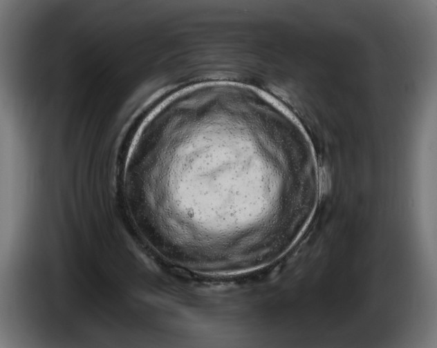 X0000086100243200704132153