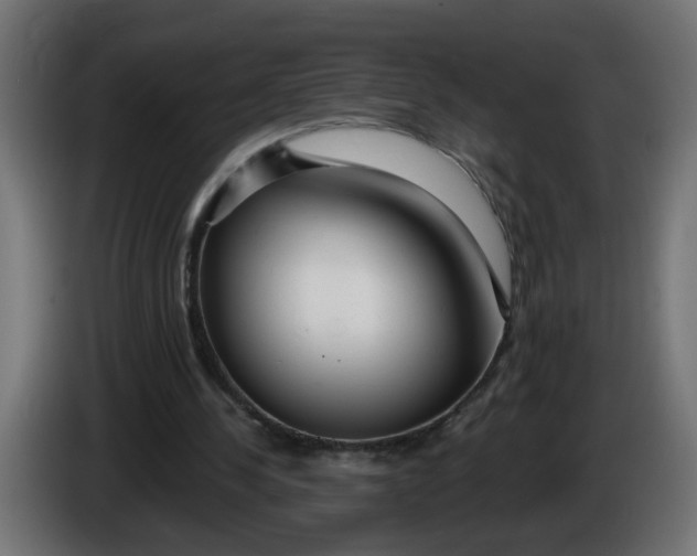 X0000086100244200704132153