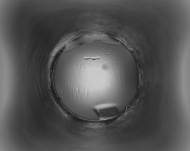 X0000086100245200704132153