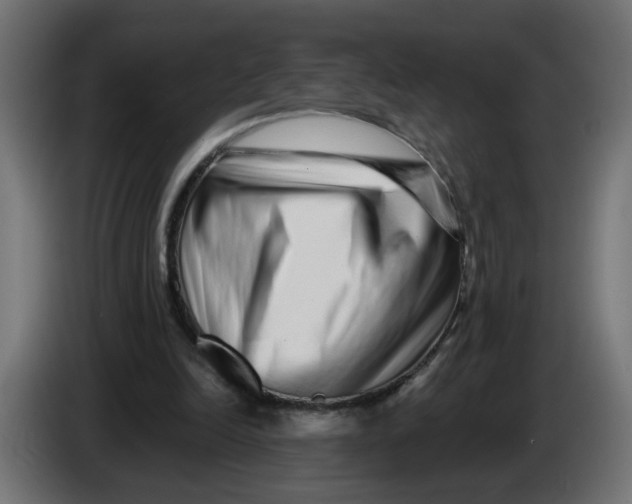 X0000086100246200704132153