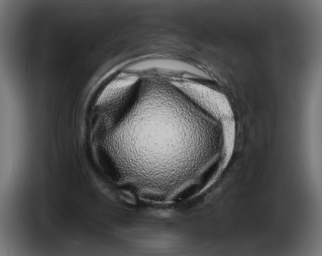 X0000086100247200704132153